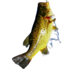 fishing rod