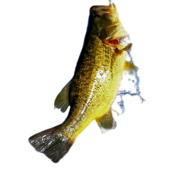 fishing rod