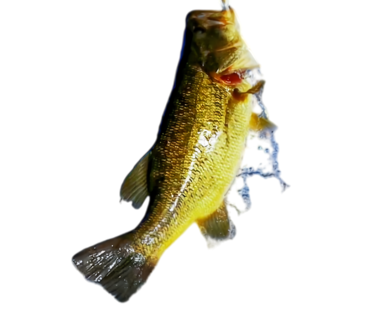 11_副本 fishing rod - Image 1